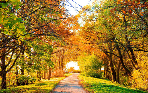294241 (a): :2560x1600